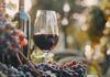 Wine News Roundup