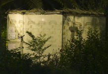 A sukkah with sheer fabric walls is lit up from the inside. Plants partially cover it in the nighttime.