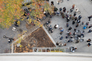 From an aerial view, there is a small tree planted in dirt with several people surrounding it.