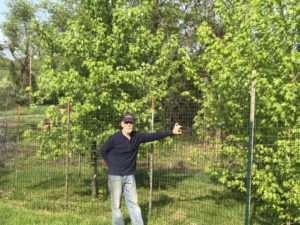 Bud Newman is an older white man wearing a baseball cap, dark shirt, and jeans, leaning up against a thin, wire fence with green silver maple saplings beyond it.
