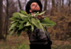 A white man with a brimmed hat and beard has his arm outstretched holding a bouquet of green, leafy ramps.