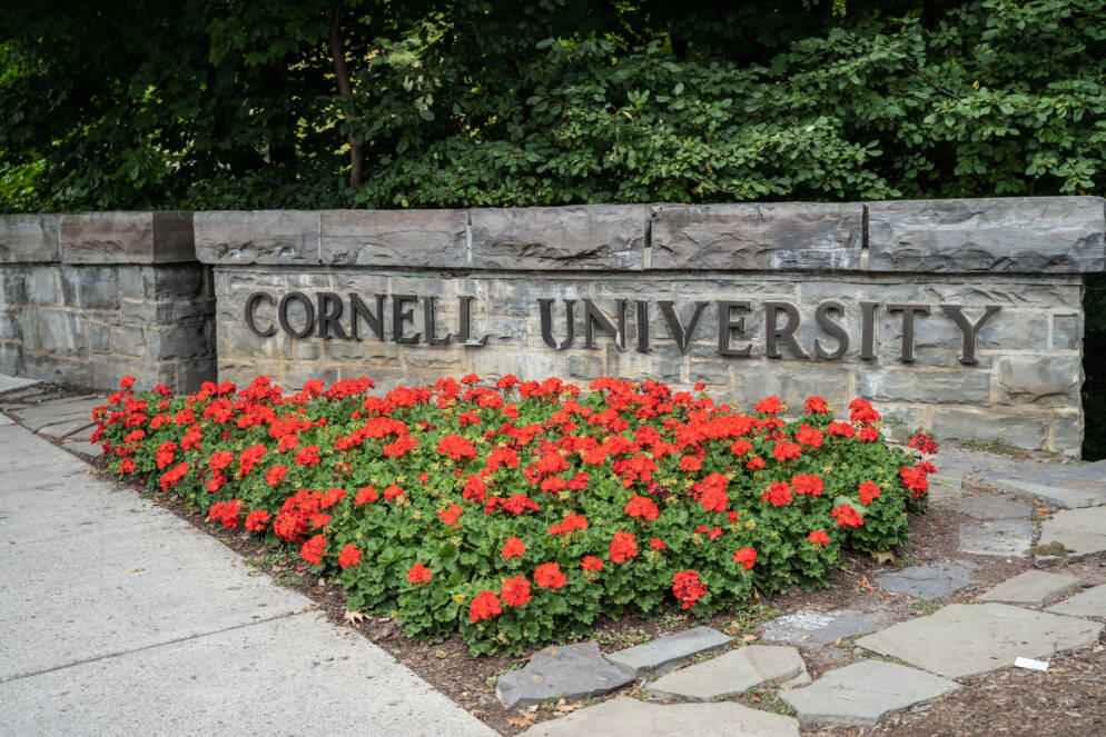Editorial: Kudos to Cornell’s Kotlikoff